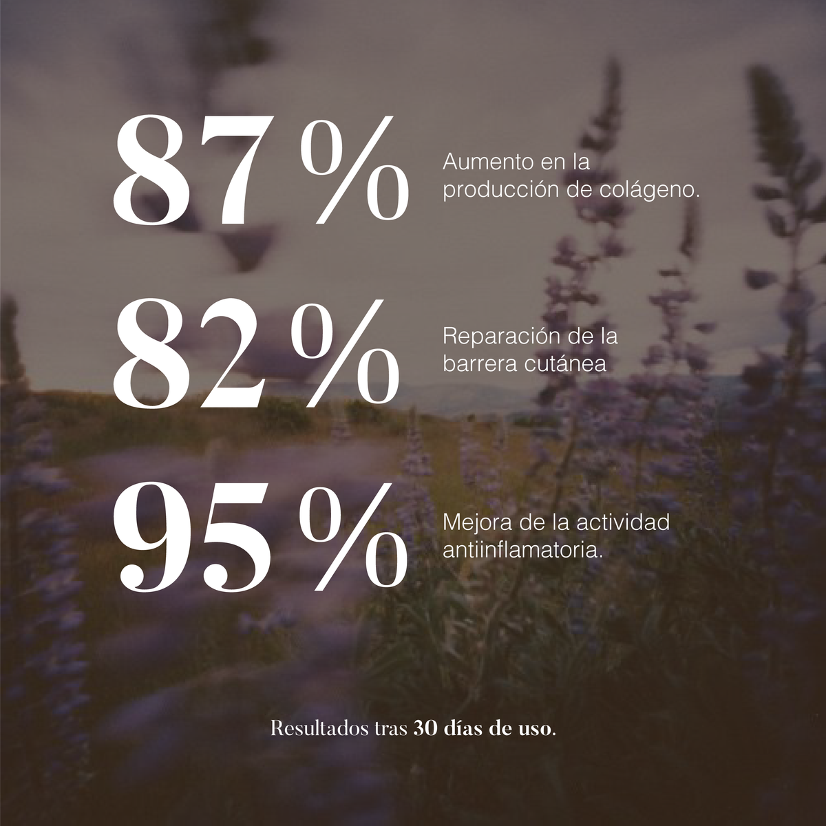 Lavanda: Aceite Esencial