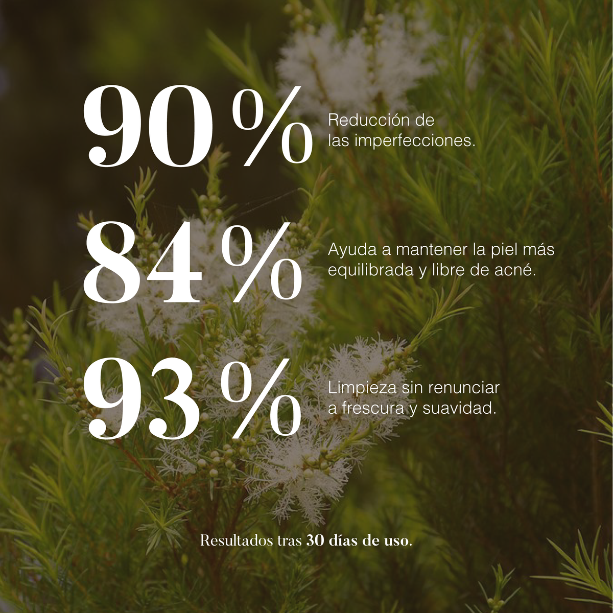 Tea Tree: Essential Oil