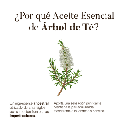 Tea Tree: Essential Oil